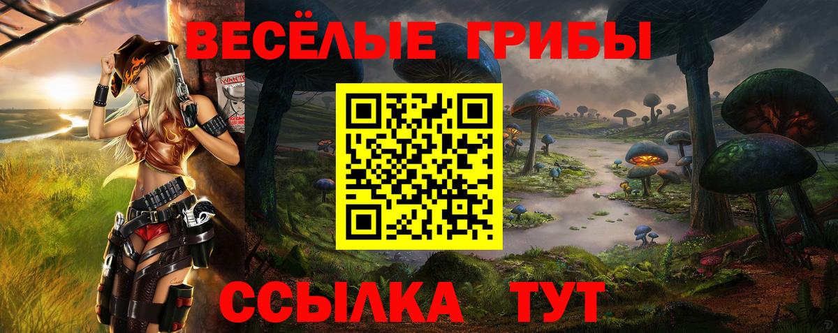 Галлюциногенные грибы Psilocybine cubensis Орск