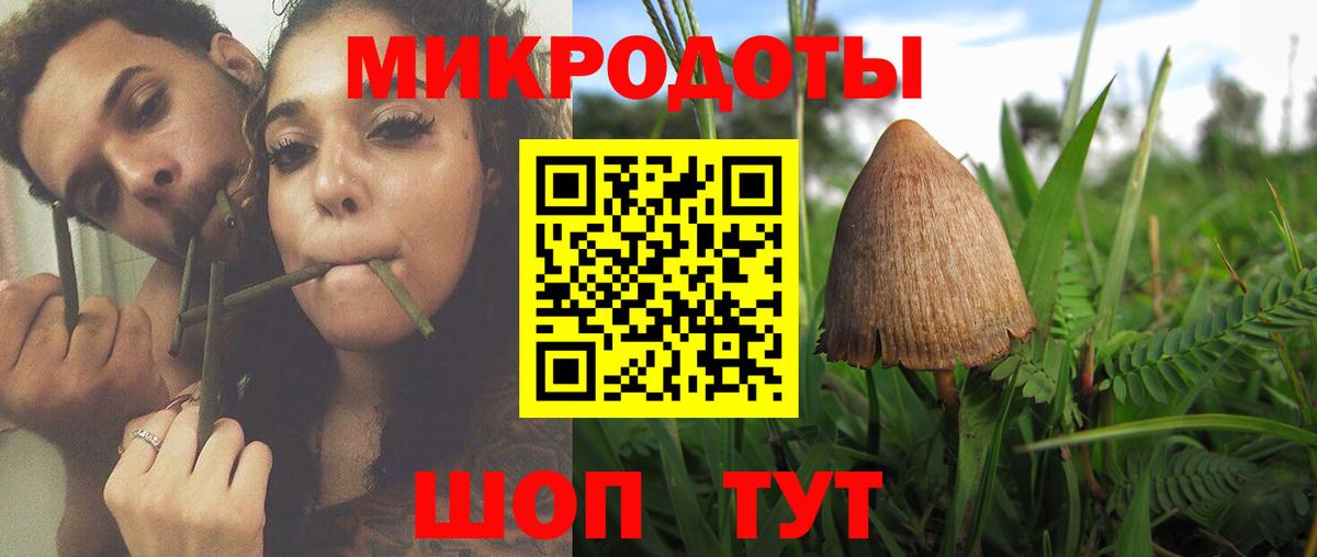 Галлюциногенные грибы GOLDEN TEACHER  Псилоцибиновые грибы Psilocybine cubensis  наркошоп  Орск  Вход с VPN 
